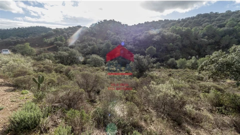 Terreno Agricola ou Rústico para Venda em Alcoutim e Pereiro