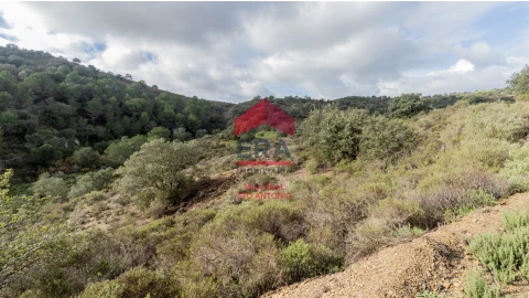 Terreno Agricola ou Rústico para Venda em Alcoutim e Pereiro