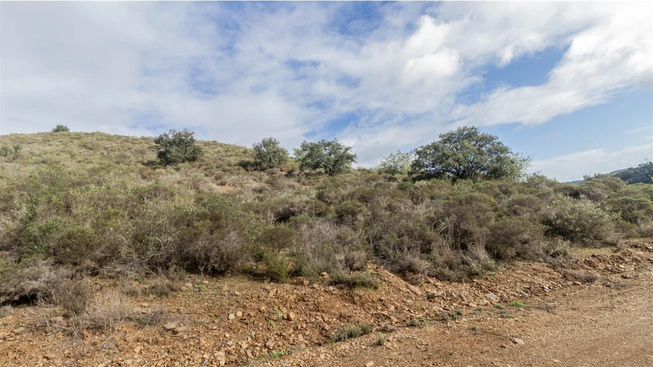 Terreno Agricola ou Rústico para Venda em Alcoutim e Pereiro Foto 5