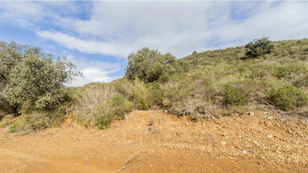 Terreno Agricola ou Rústico para Venda em Alcoutim e Pereiro Foto 6