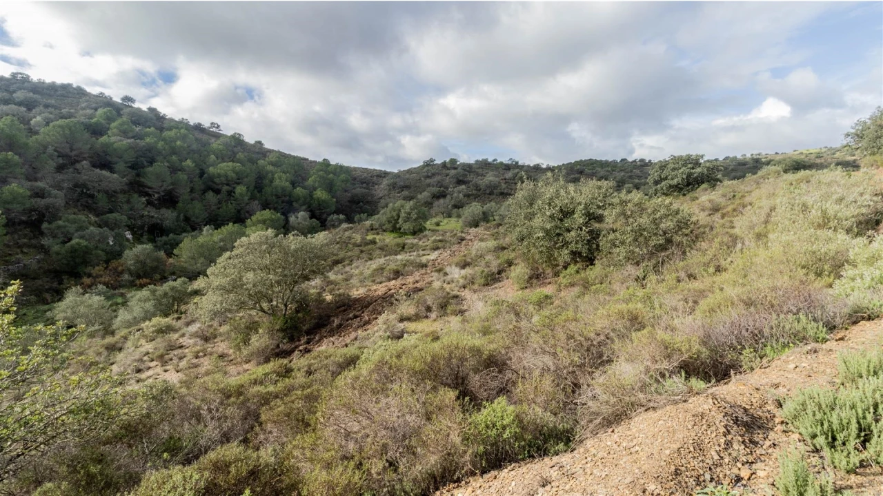 Terreno Agricola ou Rústico para Venda em Alcoutim e Pereiro Foto 4