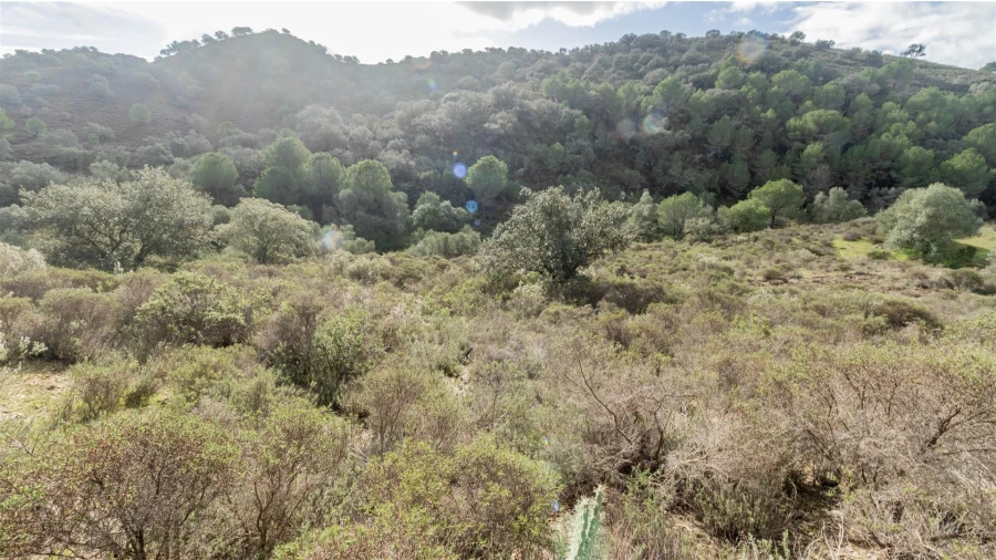 Terreno Agricola ou Rústico para Venda em Alcoutim e Pereiro Foto 8