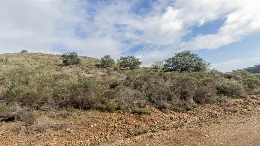 Terreno Agricola ou Rústico para Venda em Alcoutim e Pereiro Foto 5