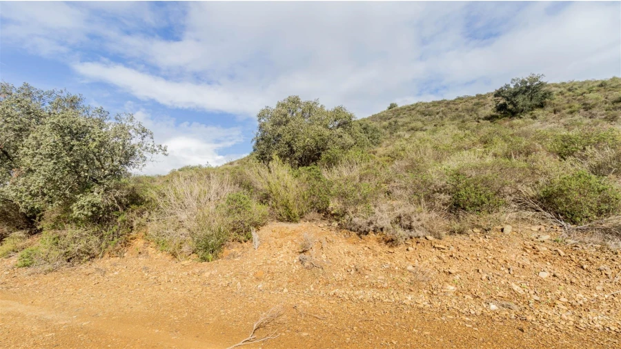 Terreno Agricola ou Rústico para Venda em Alcoutim e Pereiro Foto 6