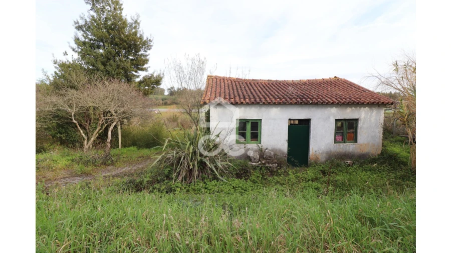 Terreno para Venda em São Martinho do Bispo e Ribeira de Frades Foto 5