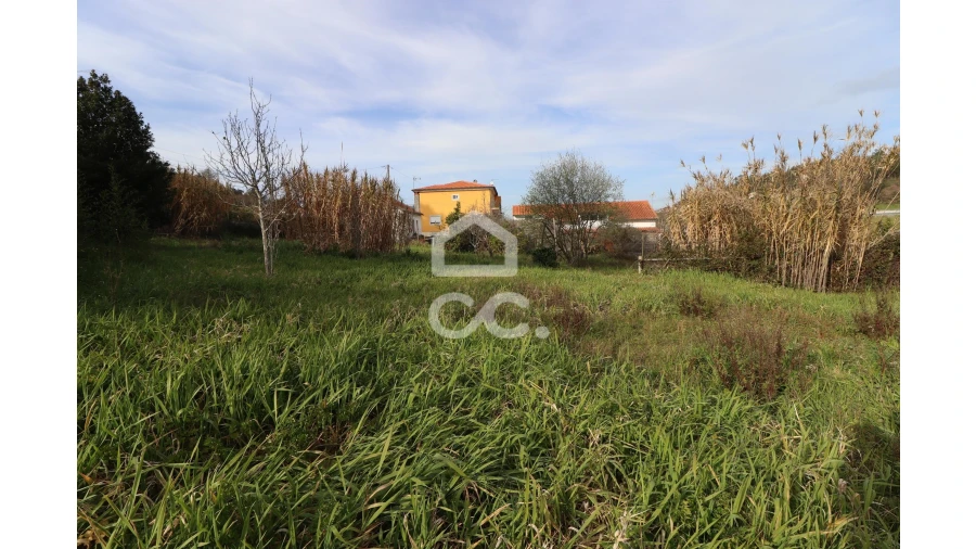Terreno para Venda em São Martinho do Bispo e Ribeira de Frades Foto 3