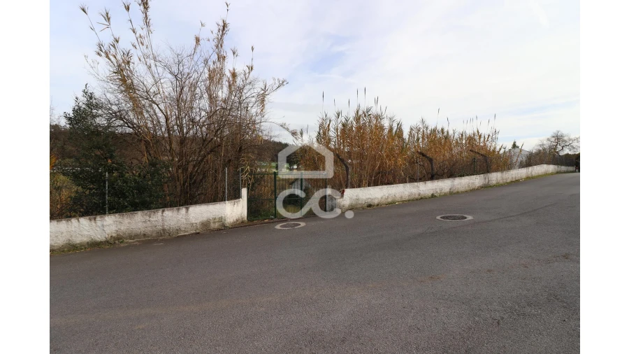 Terreno para Venda em São Martinho do Bispo e Ribeira de Frades Foto 6