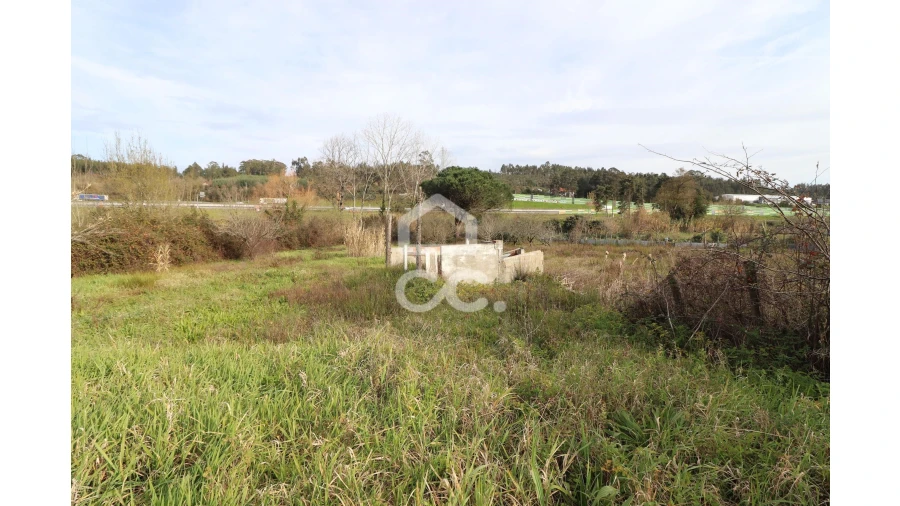 Terreno para Venda em São Martinho do Bispo e Ribeira de Frades Foto 2