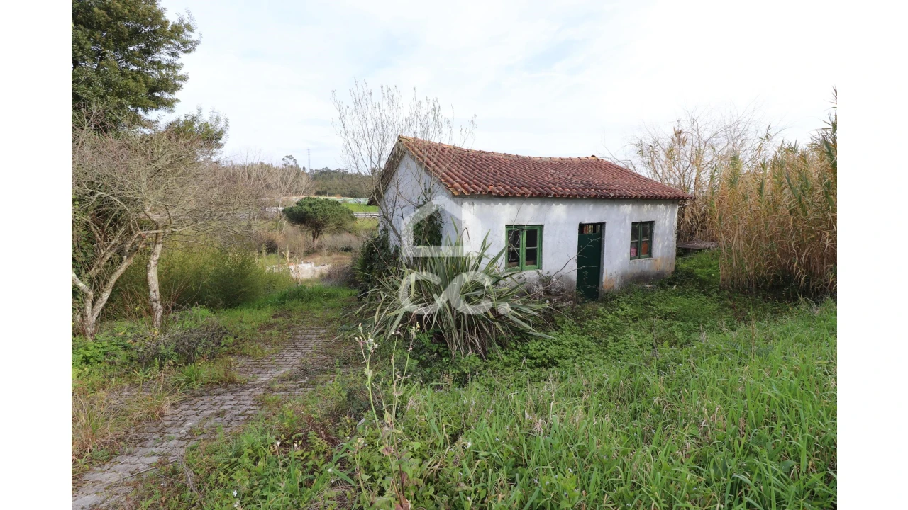 Terreno para Venda em São Martinho do Bispo e Ribeira de Frades Foto 1