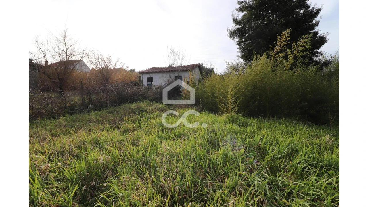 Terreno para Venda em São Martinho do Bispo e Ribeira de Frades Foto 4