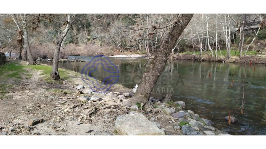 Terreno para Venda em Canelas e Espiunca Foto 19