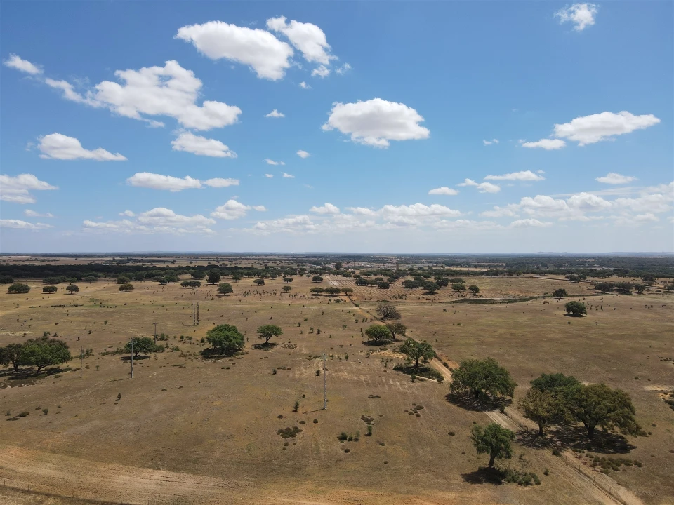 Terreno para Venda em Ermidas-Sado Foto 9