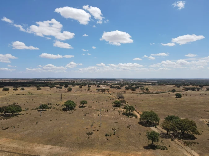 Terreno para Venda em Ermidas-Sado Foto 9
