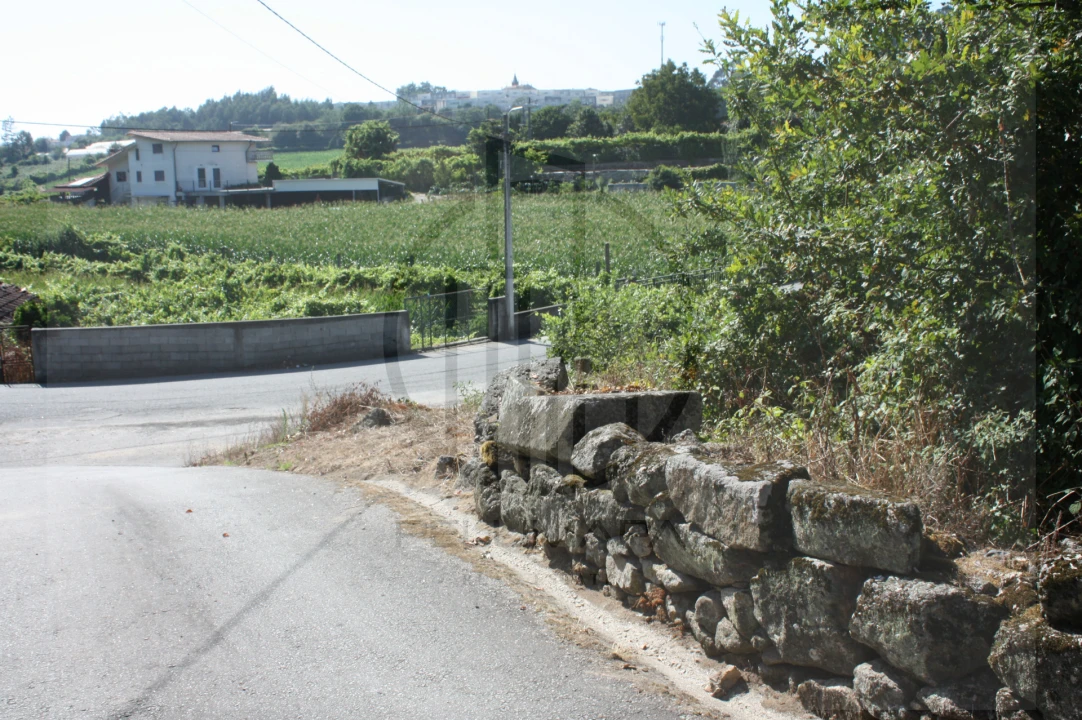 Terreno Agricola ou Rústico para Venda em Avidos e Lagoa Foto 9