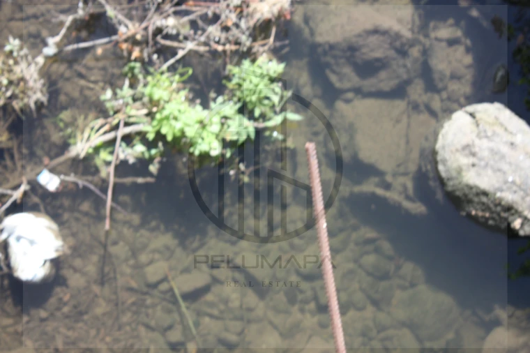 Terreno Agricola ou Rústico para Venda em Avidos e Lagoa Foto 6