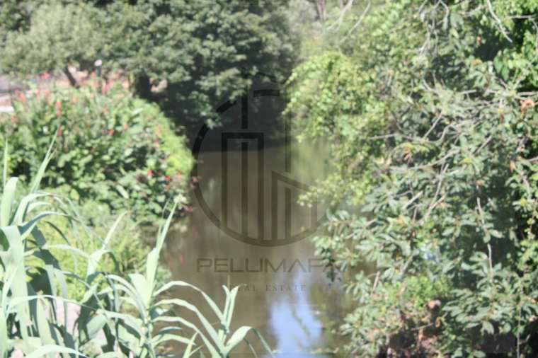 Terreno Agricola ou Rústico para Venda em Avidos e Lagoa Foto 7