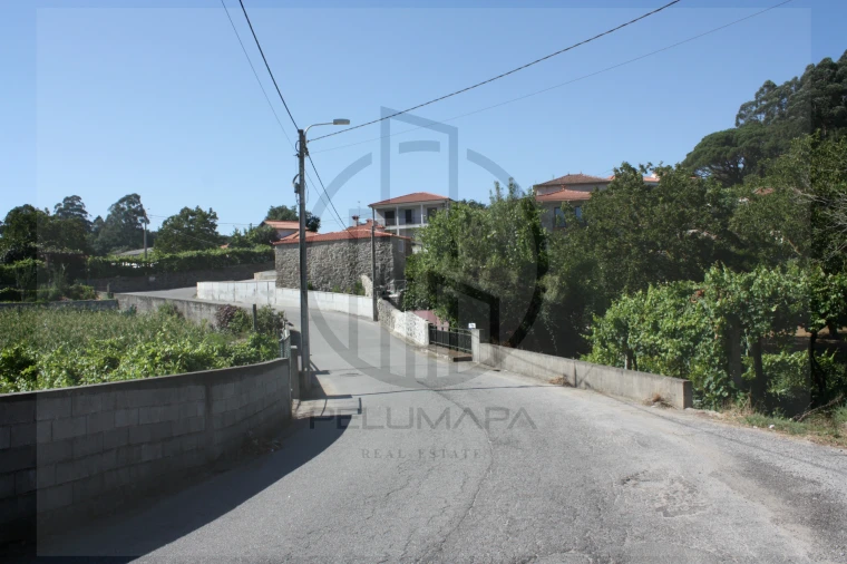 Terreno Agricola ou Rústico para Venda em Avidos e Lagoa Foto 2