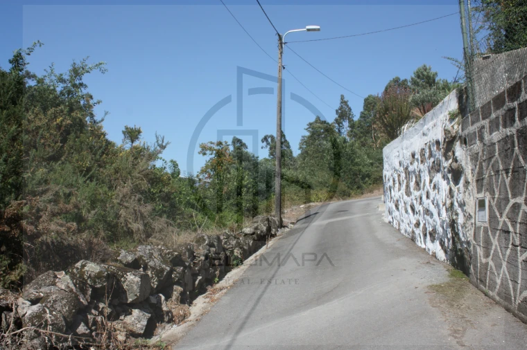 Terreno Agricola ou Rústico para Venda em Avidos e Lagoa Foto 8