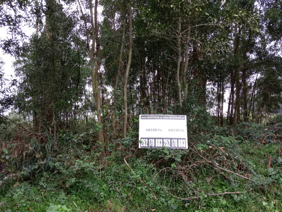 Terreno para Venda em Aveleda Foto 4