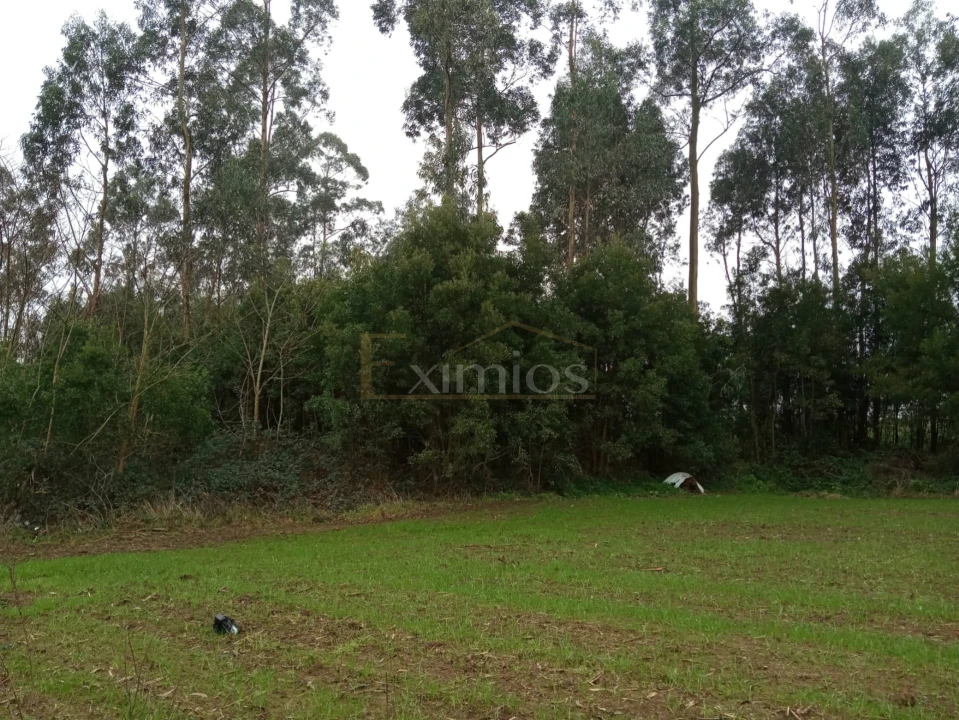 Terreno para Venda em Aveleda Foto 2