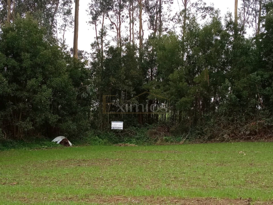 Terreno para Venda em Aveleda Foto 3