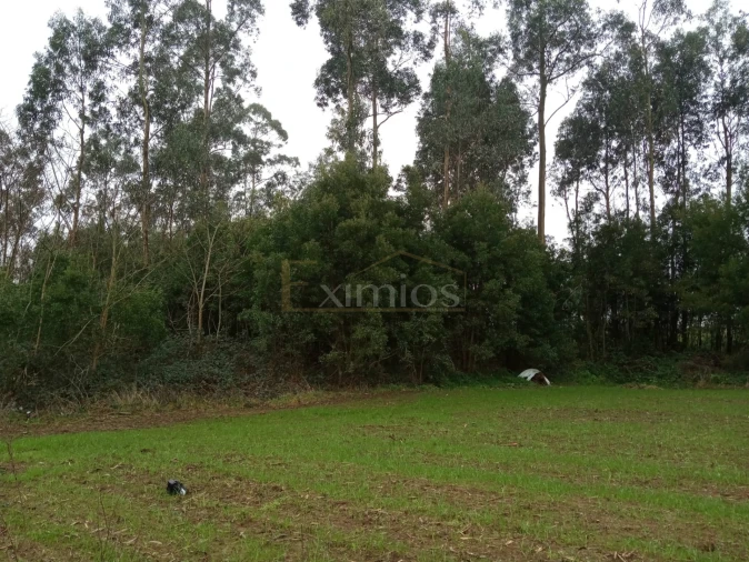 Terreno para Venda em Aveleda Foto 2