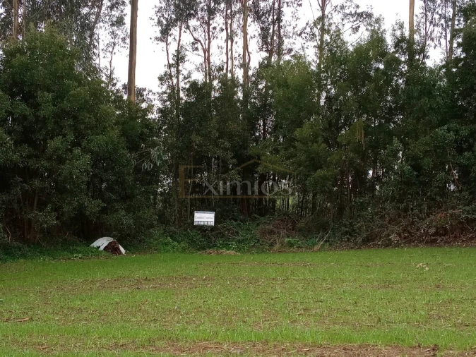 Terreno para Venda em Aveleda Foto 3