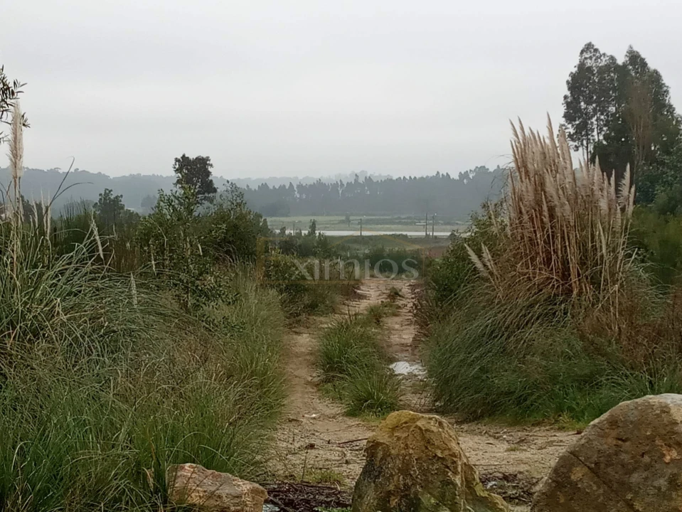 Terreno para Venda em Aveleda Foto 5