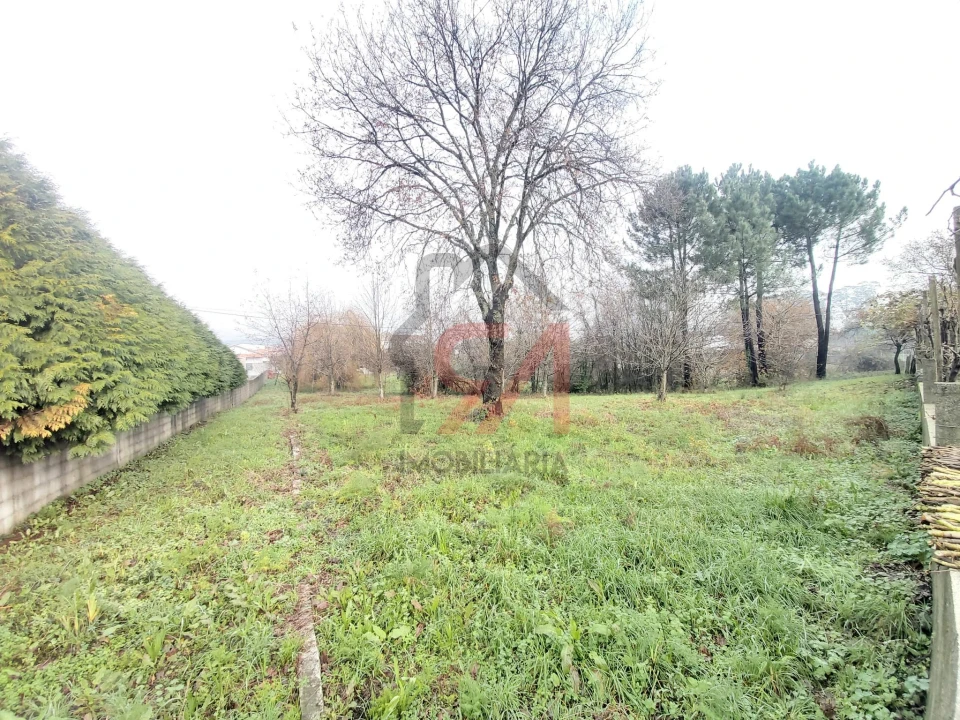 Terreno para Venda em Frazão Arreigada Foto 4