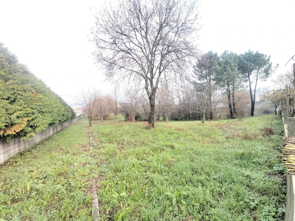 Terreno para Venda em Frazão Arreigada Foto 3