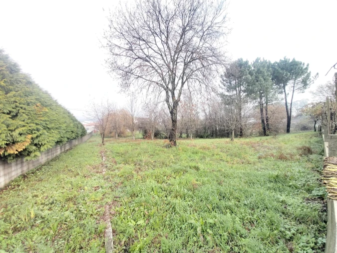 Terreno para Venda em Frazão Arreigada Foto 3
