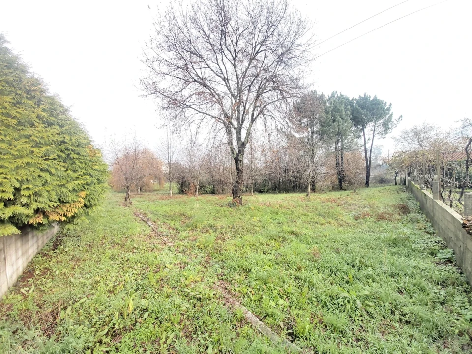 Terreno para Venda em Frazão Arreigada Foto 1