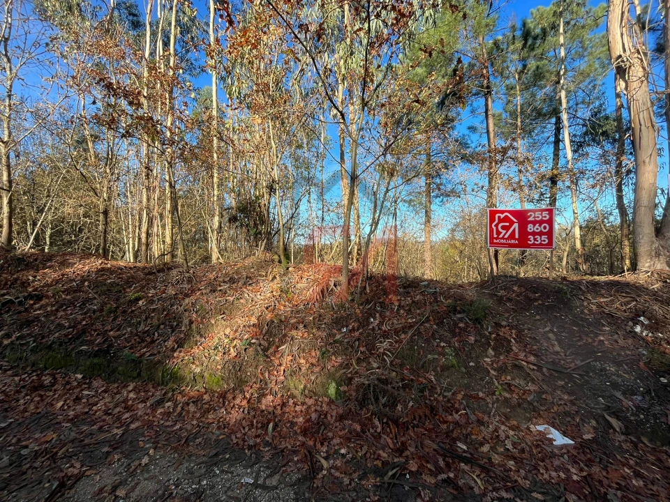 Terreno para Venda em Carvalhosa Foto 3
