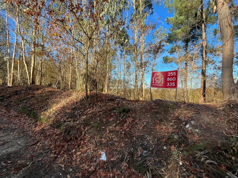Terreno para Venda em Carvalhosa Foto 4