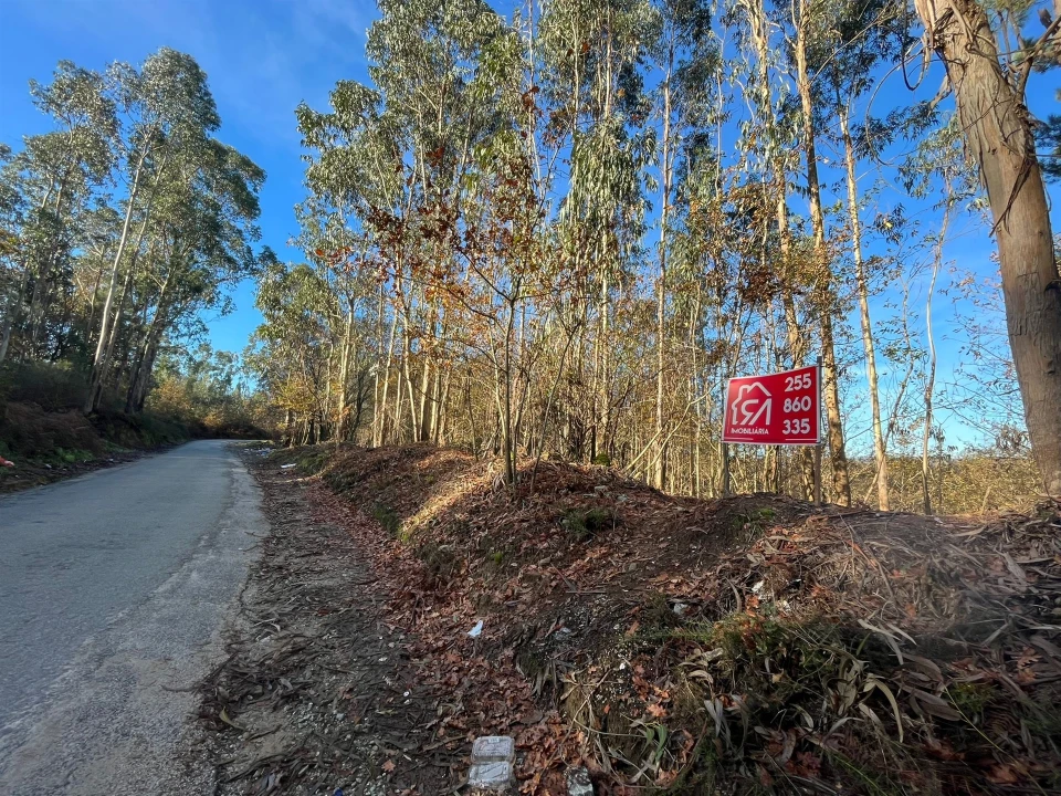 Terreno para Venda em Carvalhosa Foto 2