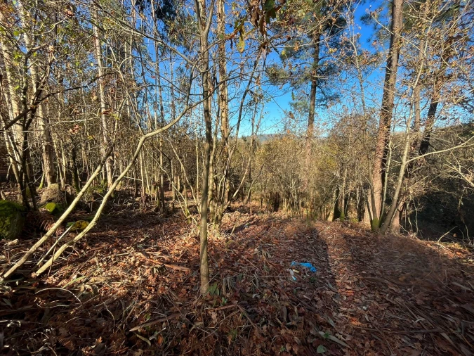 Terreno para Venda em Carvalhosa Foto 5