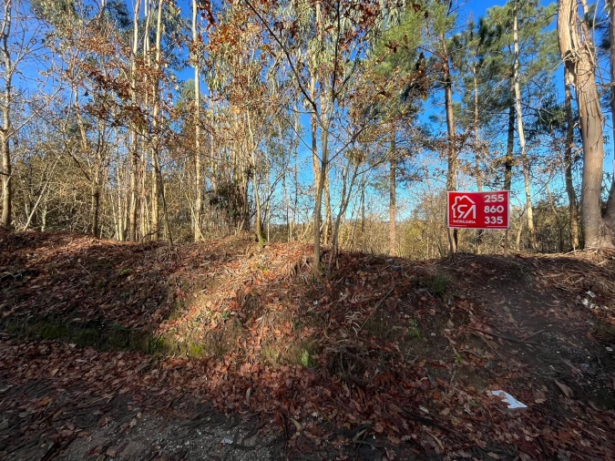 Terreno para Venda em Carvalhosa Foto 1