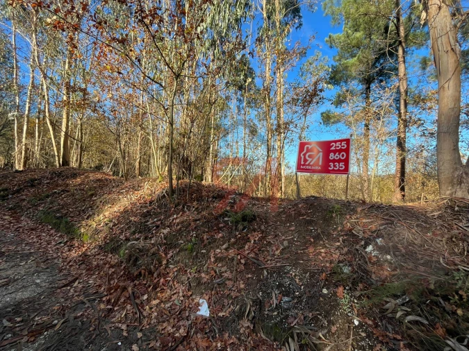 Terreno para Venda em Carvalhosa