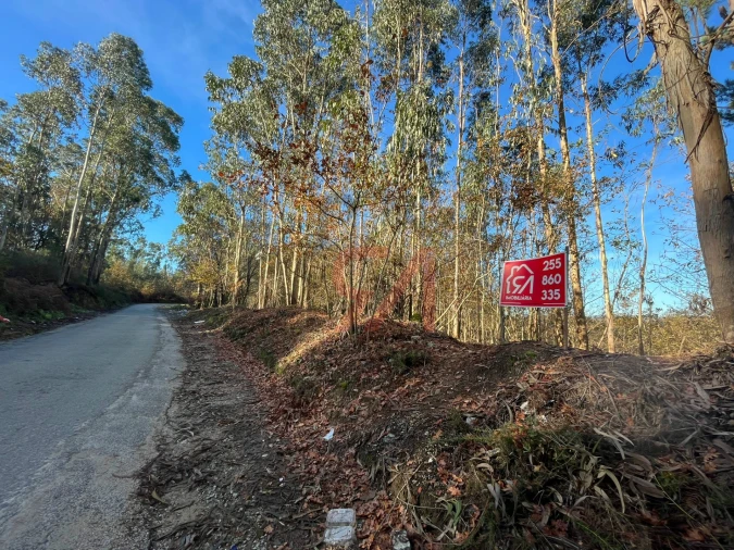 Terreno para Venda em Carvalhosa Foto 2