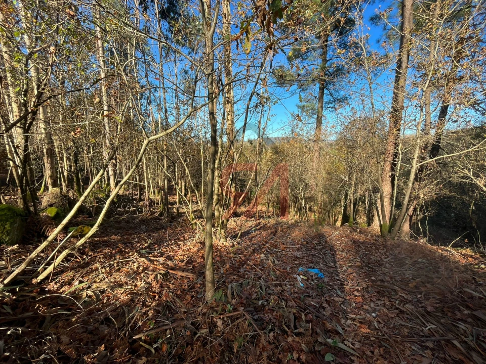 Terreno para Venda em Carvalhosa Foto 5