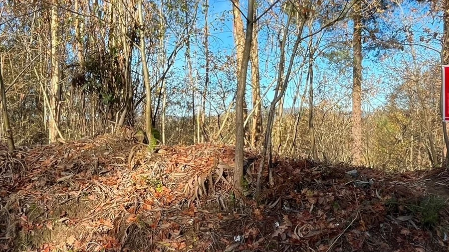 Terreno para Venda em Carvalhosa