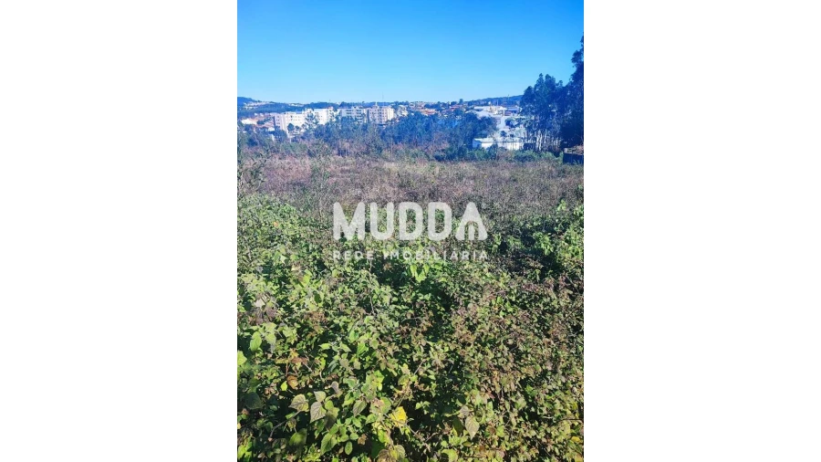 Terreno para Venda em Esmoriz Foto 4
