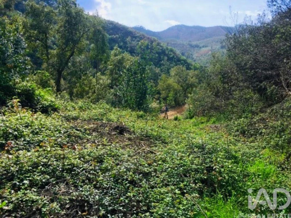 Terreno para Venda em Marmelete Foto 24