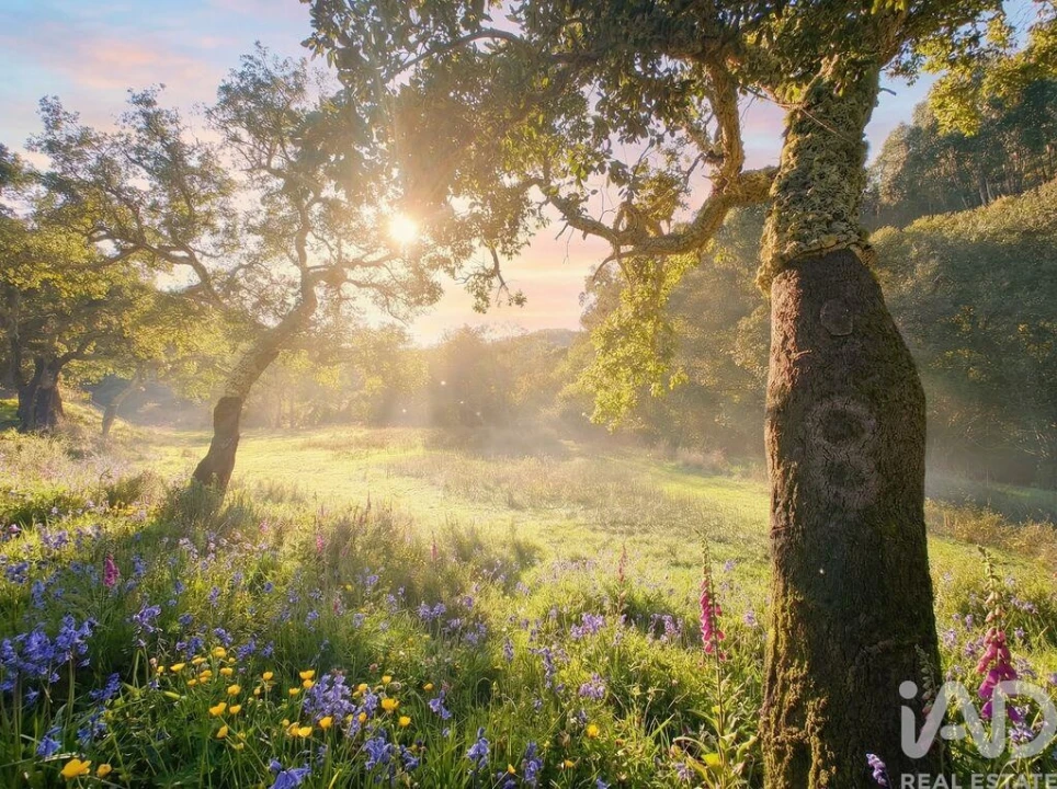 Terreno para Venda em Marmelete Foto 2