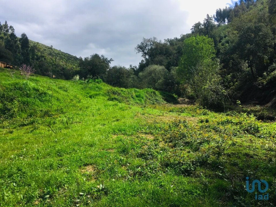 Terreno para Venda em Marmelete Foto 23