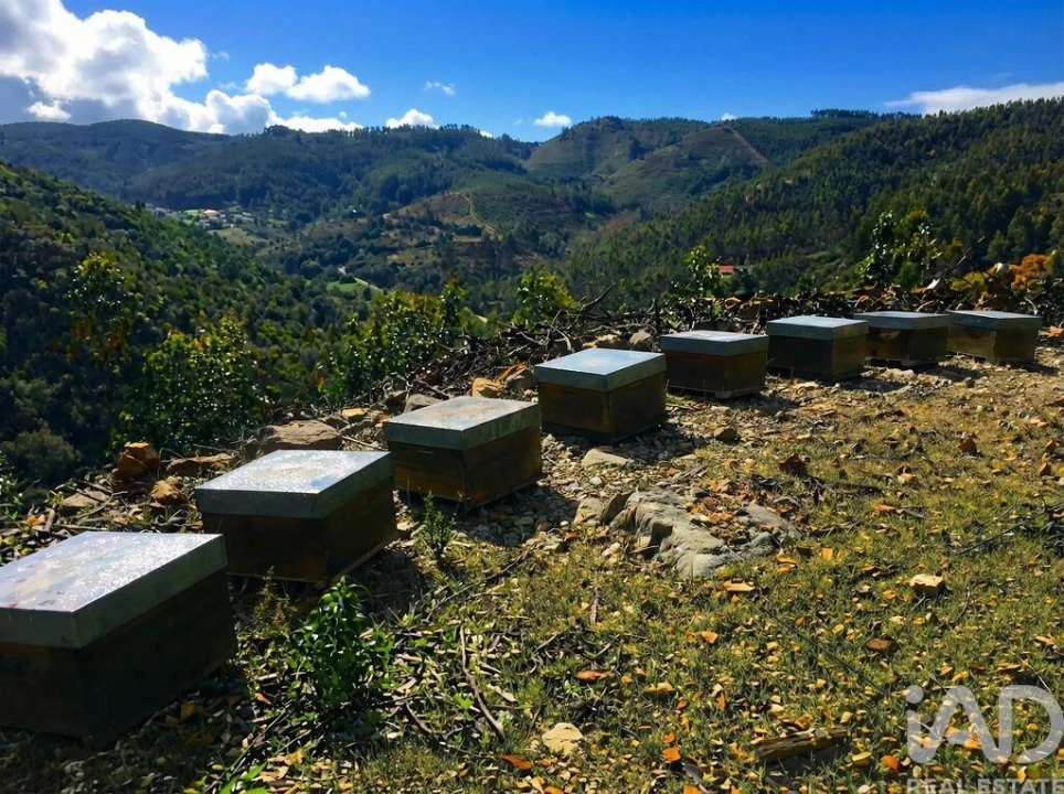 Terreno para Venda em Marmelete Foto 26