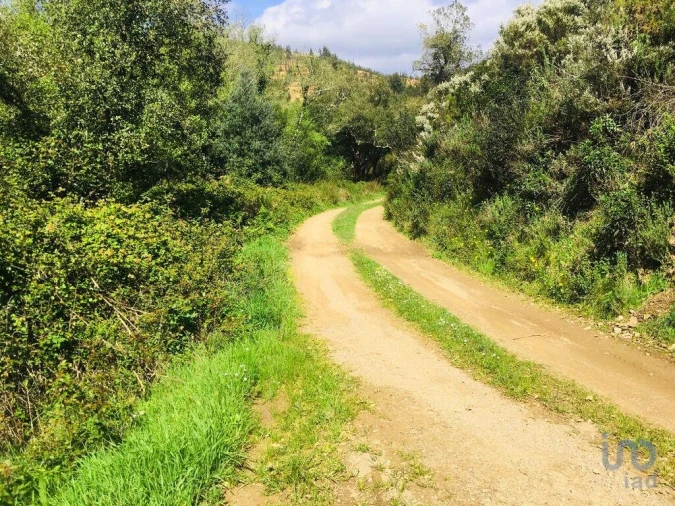 Terreno para Venda em Marmelete Foto 8