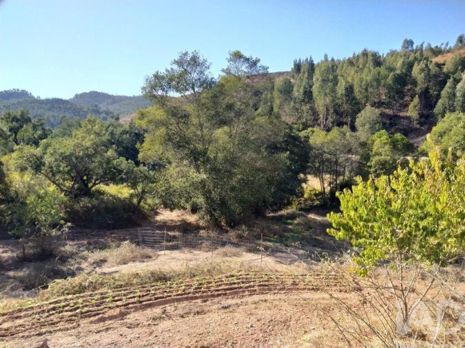 Terreno para Venda em Marmelete Foto 20