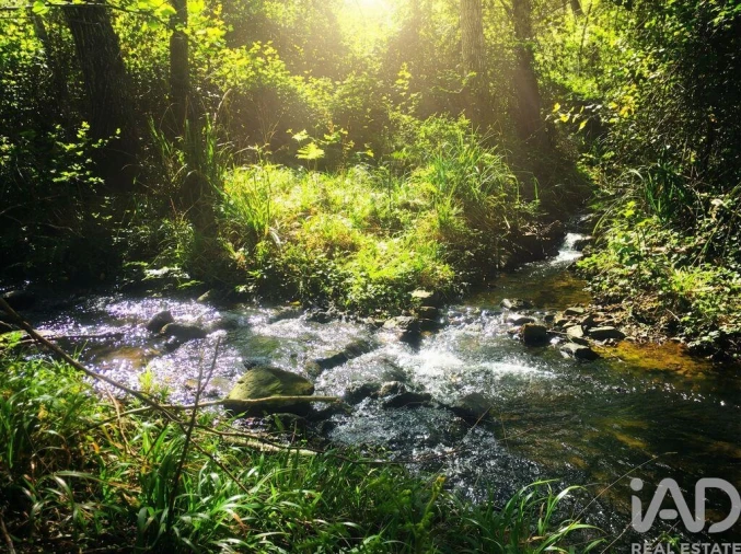 Terreno para Venda em Marmelete Foto 3