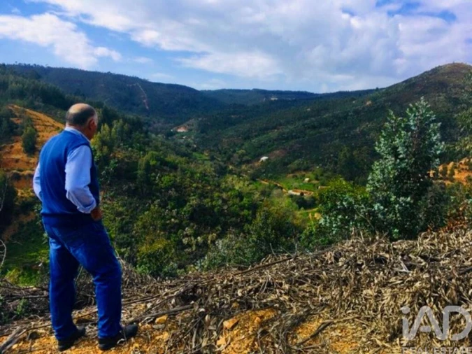 Terreno para Venda em Marmelete Foto 28